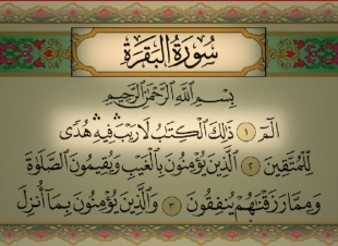 <أعظم مطهر طاقي في الوجود